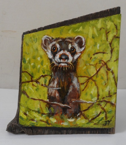 Black-footed Ferret 

4” x 3.5” x 1.5”